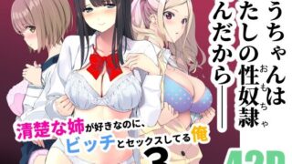 【フェチ】 清楚な姉が好きなのに、ビッチとセックスしてる俺3 【d_238821】