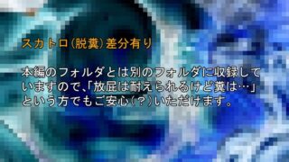【フェチ】 勇者と爆乳女僧侶 肉弾肉汁汚下劣紀行 【d_236370】