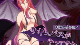 【フェチ】 サキュバスがやってきた:CGコレクション 【d_226842】