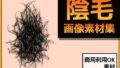 【フェチ】 女性の陰毛 画像素材〜商用OK著作権フリー 【d_246596】