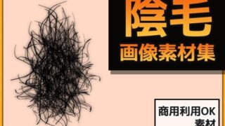【フェチ】 女性の陰毛 画像素材〜商用OK著作権フリー 【d_246596】