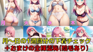 【フェチ】 勉強系ヒロイン 下着チェック【陰毛あり版】 【d_566482】