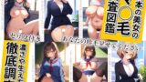 【フェチ】 あなたの陰毛見せてください｜日本の美女のマ◯毛調査図鑑 濃さや生え方を徹底調査〜セリフ付き〜 （J◯・JD・社会人・人妻・ヘアヌード） 【d_317650】