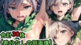 【フェチ】 敗北 エリシャ（ティアリングサーガ） 【d_596859】
