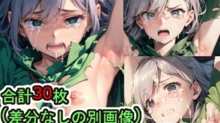 【フェチ】 敗北 エリシャ（ティアリングサーガ） 【d_596859】