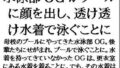 【フェチ】 水泳部OGがプールに顔を出し、透け透け水着で泳ぐことに 【d_605491】