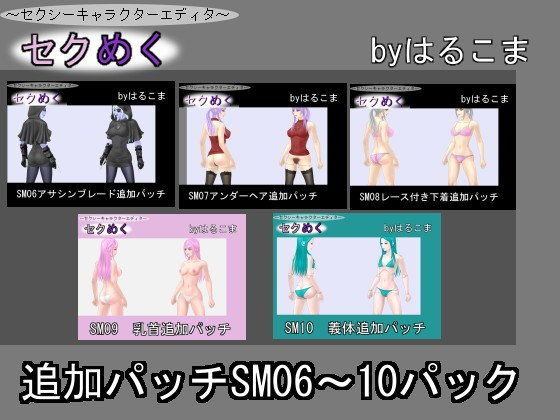【フェチ】 追加パッチSM06〜10パック 【d_095096】