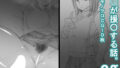 【フェチ】 eg 【d_158896】