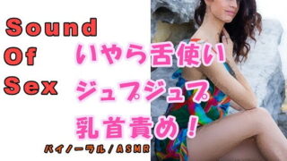 【フェチ】 ノンフィクションSEXボイス！実録！お姉さま痴女のいやらしい舌使いによるジュプジュプ乳首責め！！ ASMR/バイノーラル/言葉責め/M男向け/催●音声/男性受け 【d_187348】