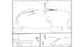 【フェチ】 早漏くんのエッチ 【d_230317】