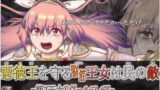 【フェチ】 悪徳王を守る脳筋王女は民の敵 -第7王女リヴェルフィア-（R15） 【d_267856】