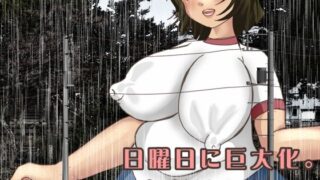 【フェチ】 日曜日に巨大化。ただそれだけ 【d_621662】