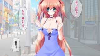 【フェチ】 ツンデレ彼女六花ちゃんと 孕ませ恋人らぶせっくす 【d_641164】