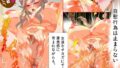 【フェチ】 性欲溜め込み美少女の片想いレズオナニー〜切なさと妄想が止まらない〜 【d_669313】