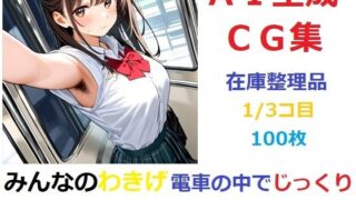 【フェチ】 【在庫整理品】みんなのわきげ電車の中でじっくり鑑賞させていただくCG集1/3コ目 【d_671805】
