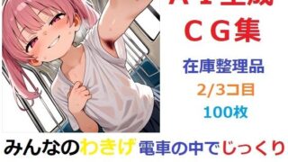 【フェチ】 【在庫整理品】みんなのわきげ電車の中でじっくり鑑賞させていただくCG集2/3コ目 【d_671811】