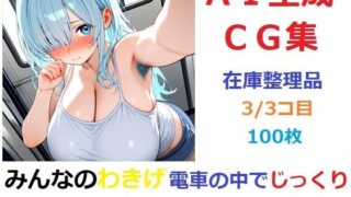 【フェチ】 【在庫整理品】みんなのわきげ電車の中でじっくり鑑賞させていただくCG集3/3コ目 【d_671818】